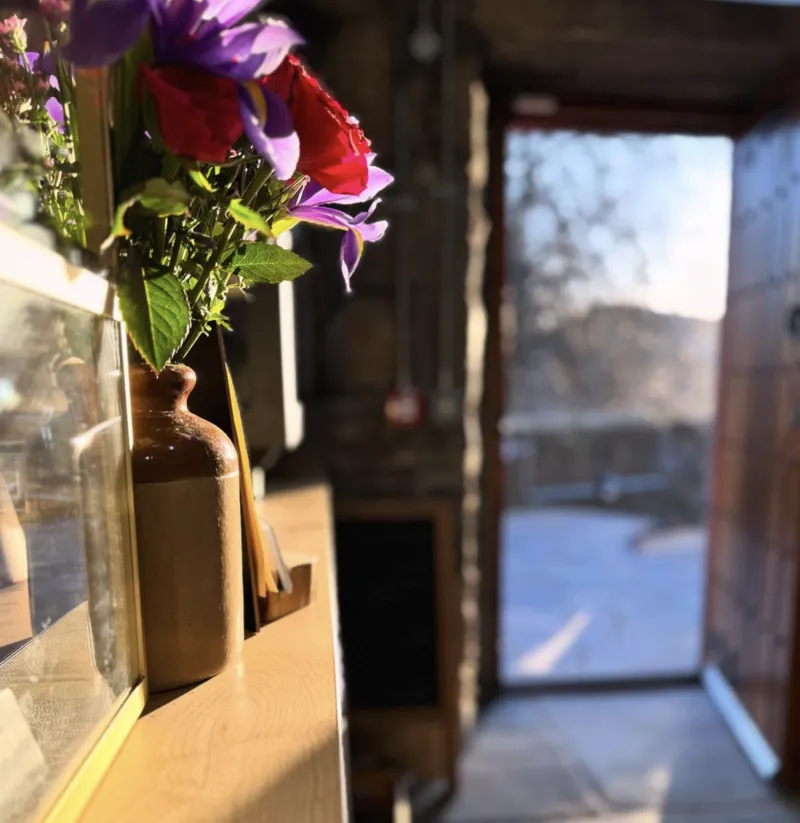 Flowers at the Window